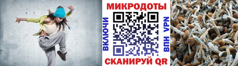 Галлюциногенные грибы Psilocybine cubensis  как найти закладки  Верхний Уфалей 